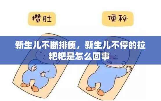 新生儿不断排便,新生儿不停的拉粑粑是怎么回事