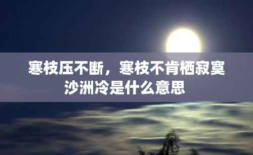 寒枝压不断,寒枝不肯栖寂寞沙洲冷是什么意思