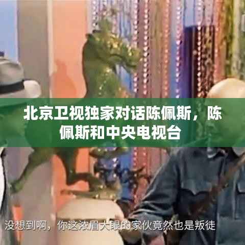北京卫视独家对话陈佩斯,陈佩斯和中央电视台
