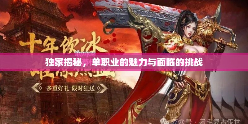 独家揭秘,单职业的魅力与面临的挑战