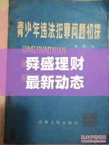 舜盛理财最新动态曝光,今日消息及违法犯罪问题深度探讨