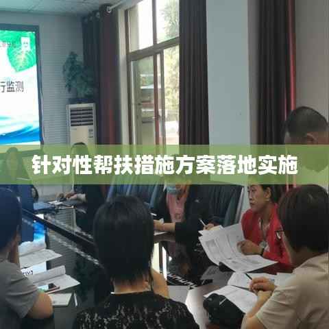 针对性帮扶措施方案落地实施