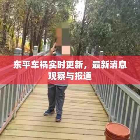 东平车祸实时更新,最新消息观察与报道