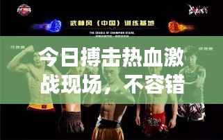今日搏击热血激战现场,不容错过的最新消息视频!