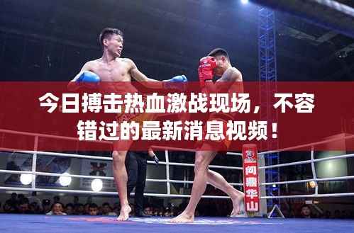 今日搏击热血激战现场,不容错过的最新消息视频!