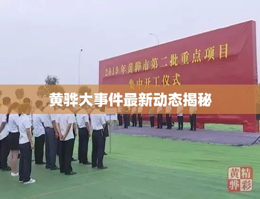 黄骅大事件最新动态揭秘