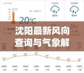 沈阳最新风向查询与气象解读,今日气象信息全解析