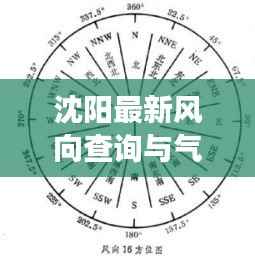沈阳最新风向查询与气象解读,今日气象信息全解析