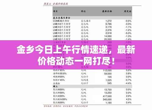 金乡今日上午行情速递,最新价格动态一网打尽!