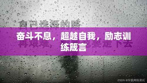 奋斗不息,超越自我,励志训练箴言