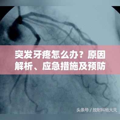突发牙疼怎么办?原因解析、应急措施及预防指南