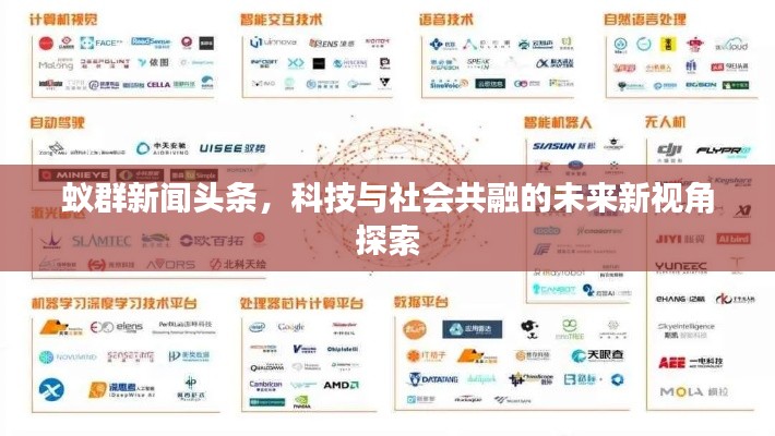 蚁群新闻头条,科技与社会共融的未来新视角探索