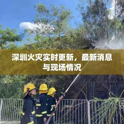 深圳火灾实时更新,最新消息与现场情况