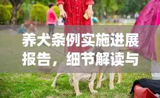养犬条例实施进展报告,细节解读与成效分析