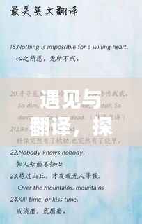 遇见与翻译,探寻英文表达之美,领略不断遇见的韵味