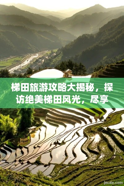 梯田旅游攻略大揭秘,探访绝美梯田风光,尽享自然盛宴!