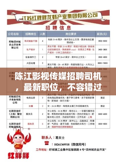 陈江影视传媒招聘司机,最新职位,不容错过!