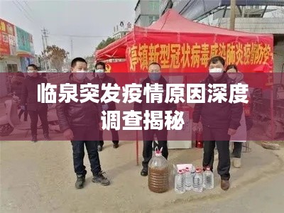 临泉突发疫情原因深度调查揭秘