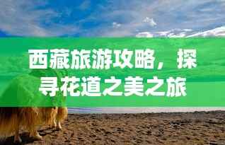 西藏旅游攻略,探寻花道之美之旅