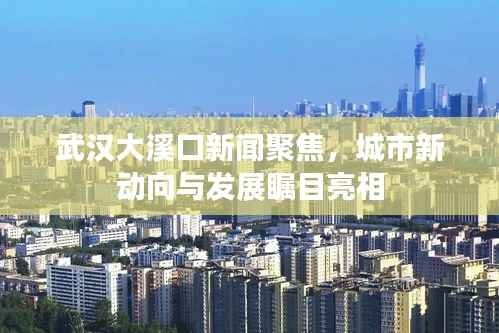 武汉大溪口新闻聚焦,城市新动向与发展瞩目亮相