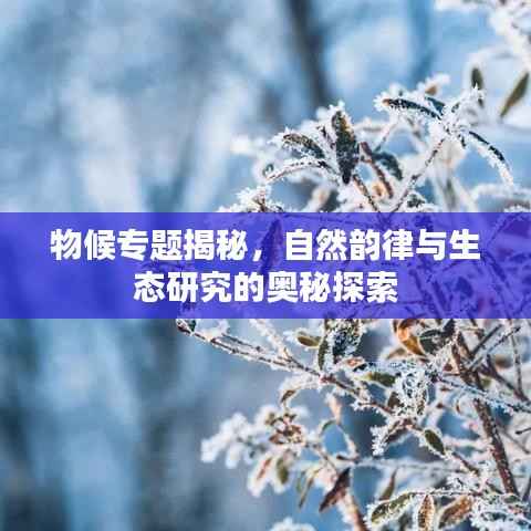 物候专题揭秘,自然韵律与生态研究的奥秘探索