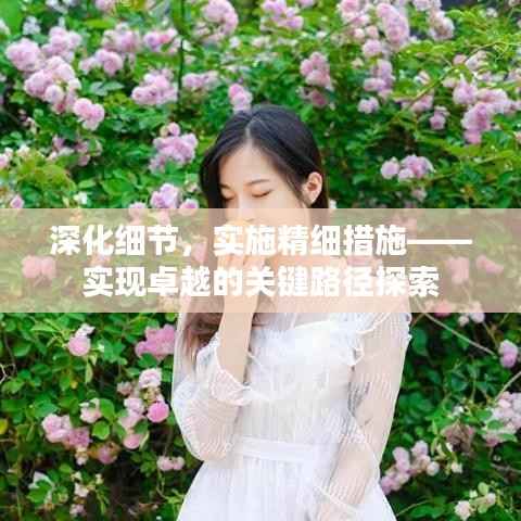 深化细节，实施精细措施——实现卓越的关键路径探索