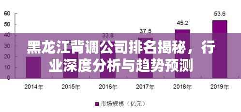 黑龙江背调公司排名揭秘,行业深度分析与趋势预测