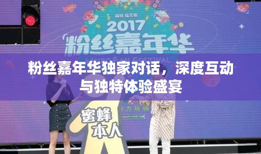 粉丝嘉年华独家对话,深度互动与独特体验盛宴