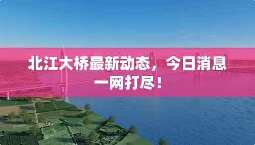 北江大桥最新动态，今日消息一网打尽！