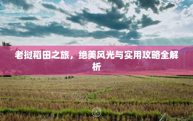 老挝稻田之旅,绝美风光与实用攻略全解析