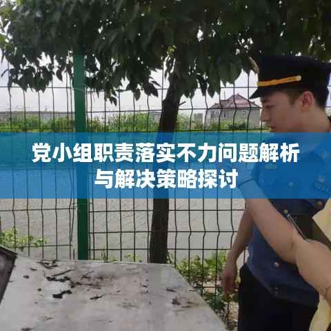 党小组职责落实不力问题解析与解决策略探讨