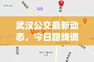 武汉公交最新动态，今日路线调整全解析