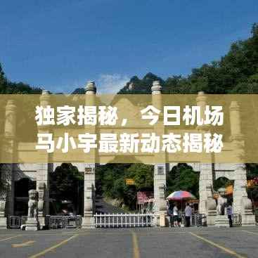 chenhouguayan 第6页