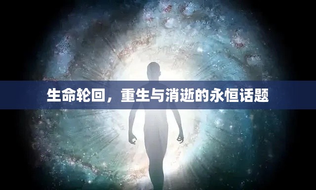 xiaoniaoyiren 第4页