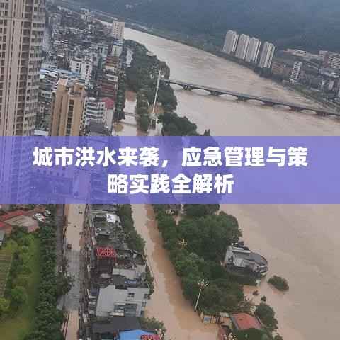 城市洪水来袭,应急管理与策略实践全解析