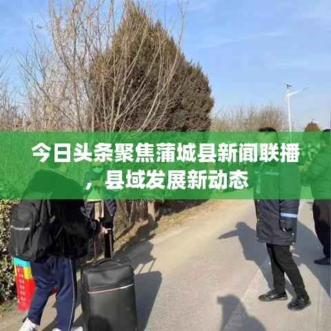 今日头条聚焦蒲城县新闻联播，县域发展新动态