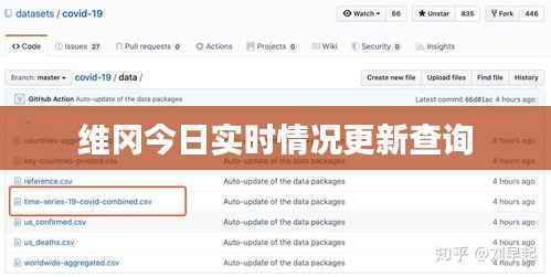 维冈今日实时情况更新查询
