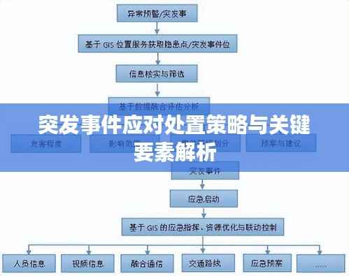 突发事件应对处置策略与关键要素解析