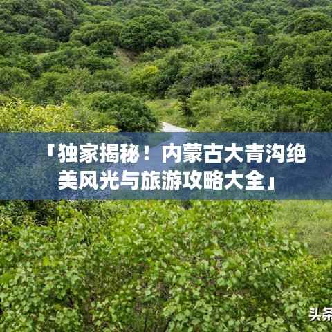 「独家揭秘!内蒙古大青沟绝美风光与旅游攻略大全」