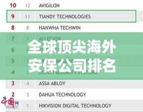 全球顶尖海外安保公司排名TOP10