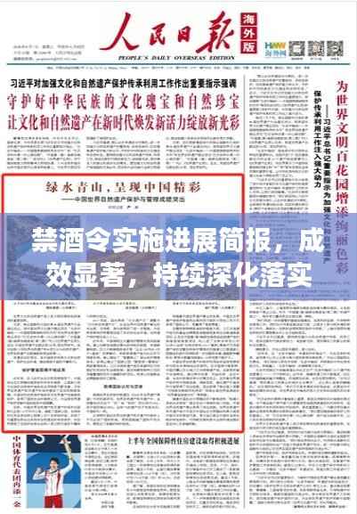 禁酒令实施进展简报,成效显著,持续深化落实