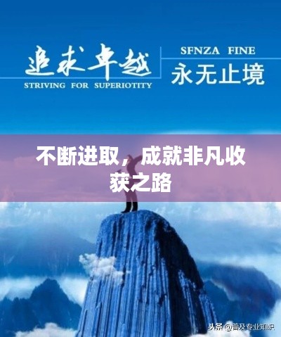 不断进取,成就非凡收获之路