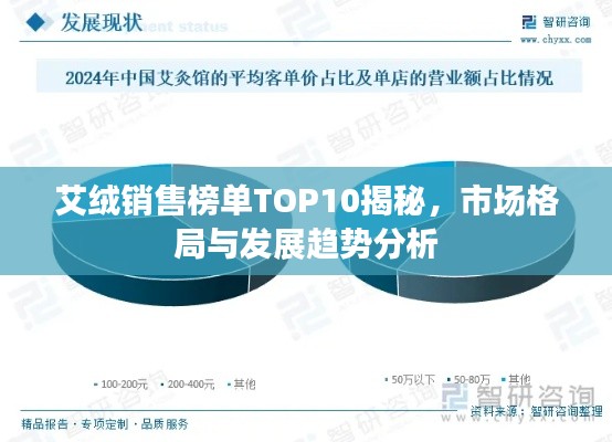 艾绒销售榜单TOP10揭秘,市场格局与发展趋势分析
